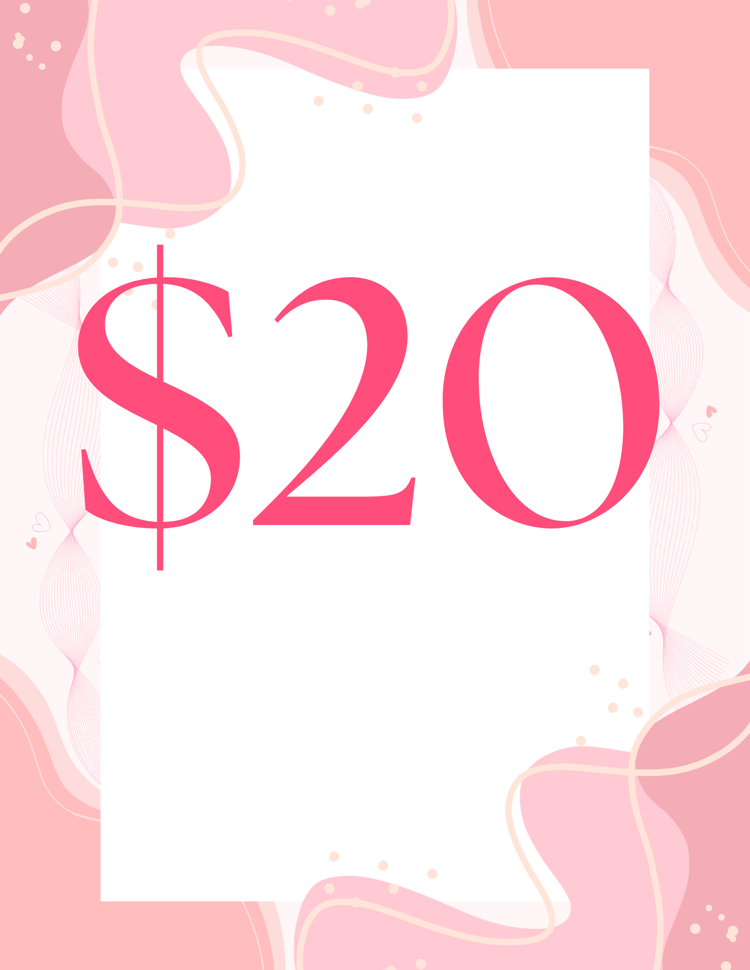 $20 Ticket