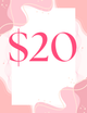 $20 Ticket