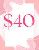 $40 Ticket